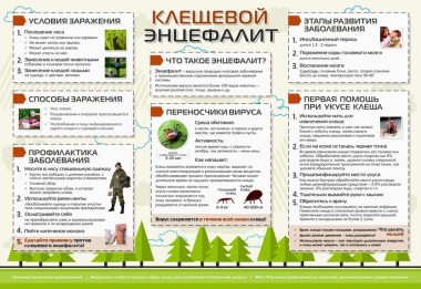 Инфекции, передаваемые клещами Инфекции, передаваемые клещами