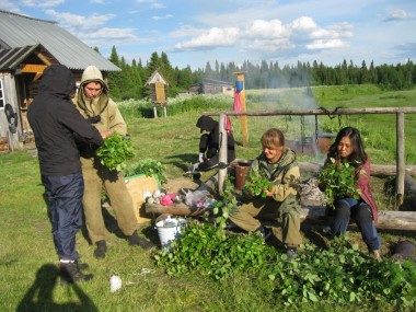 В самом сердце тайги… В самом сердце тайги…