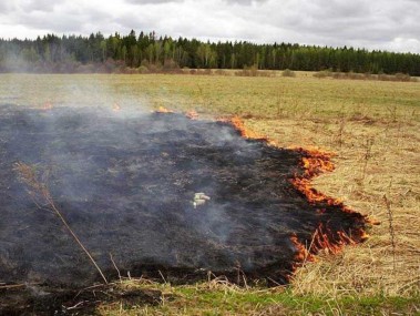 Уважаемые жители республики, не допускайте пала сухой травы! Уважаемые жители республики, не допускайте пала сухой травы!