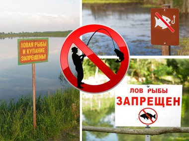 Весенне-летний нерестовый запрет Весенне-летний нерестовый запрет