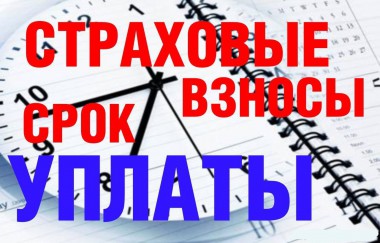 Истекает срок уплаты страховых взносов за 2016 год для самозанятых граждан Истекает срок уплаты страховых взносов за 2016 год для самозанятых граждан