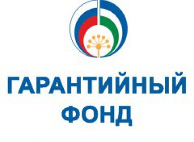 На поддержку предпринимателей в 2016 году Гарантийный фонд Коми выделил 17 миллионов рублей На поддержку предпринимателей в 2016 году Гарантийный фонд Коми выделил 17 миллионов рублей