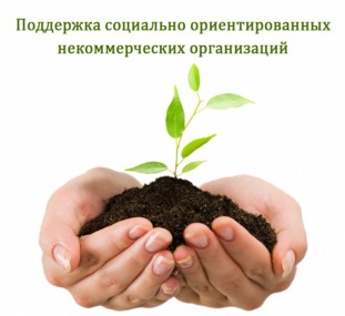 Распределены субсидии из бюджета Республики Коми на реализацию в 2017 году муниципальных программ поддержки социально ориентированных некоммерческих организаций Распределены субсидии из бюджета Республики Коми на реализацию в 2017 году муниципальных программ поддержки социально ориентированных некоммерческих организаций