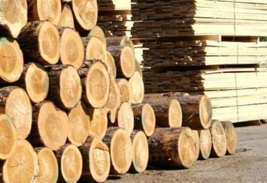 Драйвером развития промышленности республики станет лесопереработка Драйвером развития промышленности республики станет лесопереработка