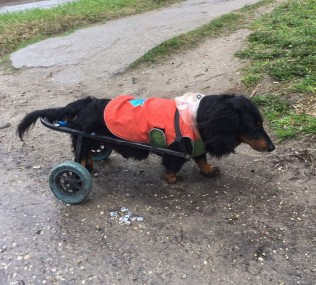 Друзей не предают! Друзей не предают!