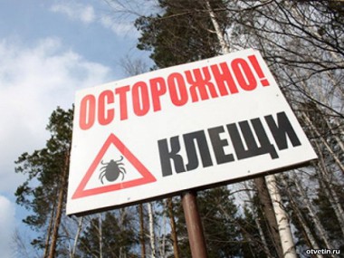 Как защититься от укусов клещей? Как защититься от укусов клещей?