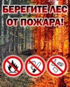 Меры пожарной безопасности в лесу Меры пожарной безопасности в лесу