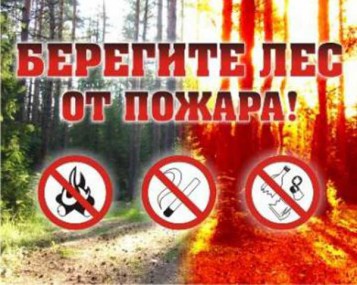 Правила пожарной безопасности в лесу Правила пожарной безопасности в лесу