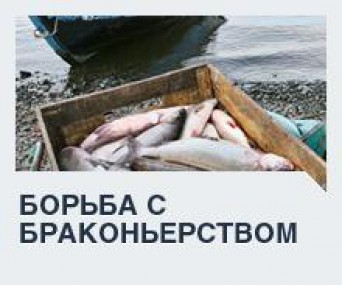 В Республике Коми появляются дополнительные ресурсы по борьбе с браконьерством В Республике Коми появляются дополнительные ресурсы по борьбе с браконьерством