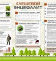 Инфекции, передаваемые клещами