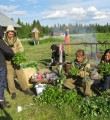 В самом сердце тайги…