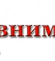 Добровольная сдача предметов вооружения