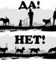 К 1 мая Правительство и муниципалитеты Республики Коми отчитаются о мерах по решению проблемы с бродячими животными