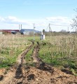 Почва в Коми – одна из наиболее чистых в стране