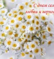 Уважаемые жители Республики Коми! Соотечественники!