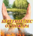 Берегите лес!