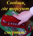 Дорогие друзья!