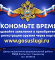 Государственная услуга в электронном виде
