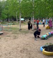 Калейдоскоп красок в Сказке