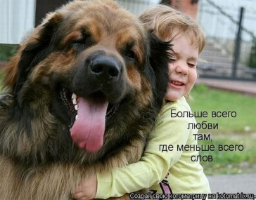 Лохматый верный друг: советы любителям собак.