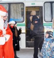 Мандарины получили все