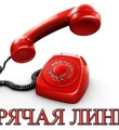 Номер телефона Горячей линии Главы Республики Коми – 8-800-200-96-14.