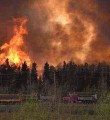 Особый противопожарный режим в Коми отменен