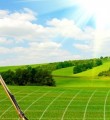 Почему земельные участки снимаются с кадастрового учета