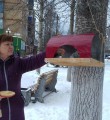 Покормите птиц зимой!