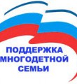 Правительство РФ решило дополнительно поддержать многодетные семьи