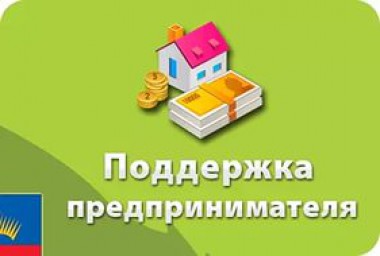 Предоставление государственной финансовой поддержки субъектам малого и среднего предпринимательства Предоставление государственной финансовой поддержки субъектам малого и среднего предпринимательства