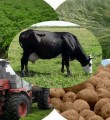 Российским фермерам могут компенсировать затраты на продвижение продукции на рынок