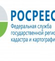 Управление Росреестра по Республике Коми разъясняет как применяется на практике Лесная амнистия