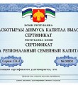 В Коми за счет регионального семейного капитала улучшили жилищные условия более 300 многодетных семей и почти 600 - отремонтировали свои квартиры