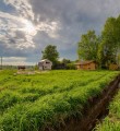 Выделение земельных участков деятелям культуры позволит привлечь их в глубинку