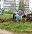 Замечательный сосед