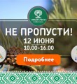 В центре Сыктывкара появится Утка-прародительница мира