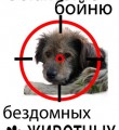 Депутаты предложили сажать догхантеров на два года