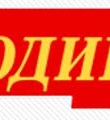 Родина выступает против финансирования политических партий за счет населения
