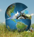Вопросы экологического надзора стали темой заседания Президиума Госсовета РК