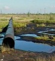 Чуть больше месяца осталось нефтяникам на завершение работ по рекультивации земель