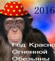 Гороскоп на 2016 год – год Огненной Обезьяны