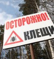 Как защититься от укусов клещей?