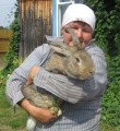 Когда хозяйство в радость