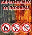 Меры пожарной безопасности в лесу