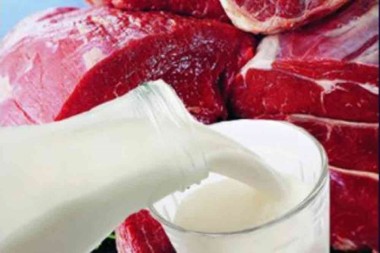 О потенциально опасной мясной и молочной продукции, реализуемой на несанкционированных торговых точках О потенциально опасной мясной и молочной продукции, реализуемой на несанкционированных торговых точках