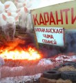 Об угрозе распространения АЧС на территории РФ