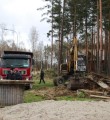 Ответственность за возведение самовольных построек на землях лесного фонда