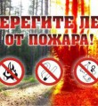 Правила пожарной безопасности в лесу