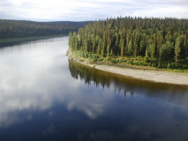 ПРИРОДА РОДНОГО КРАЯ